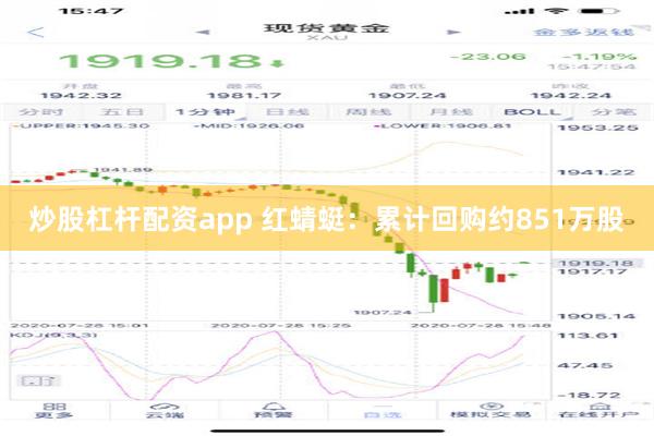 炒股杠杆配资app 红蜻蜓：累计回购约851万股