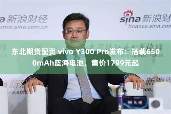 东北期货配资 vivo Y300 Pro发布：搭载6500mAh蓝海电池，售价1799元起