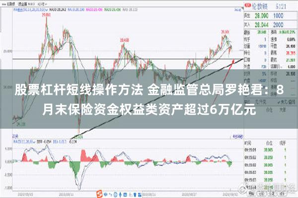 股票杠杆短线操作方法 金融监管总局罗艳君：8月末保险资金权益类资产超过6万亿元