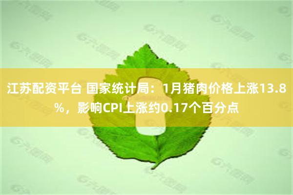 江苏配资平台 国家统计局：1月猪肉价格上涨13.8%，影响CPI上涨约0.17个百分点